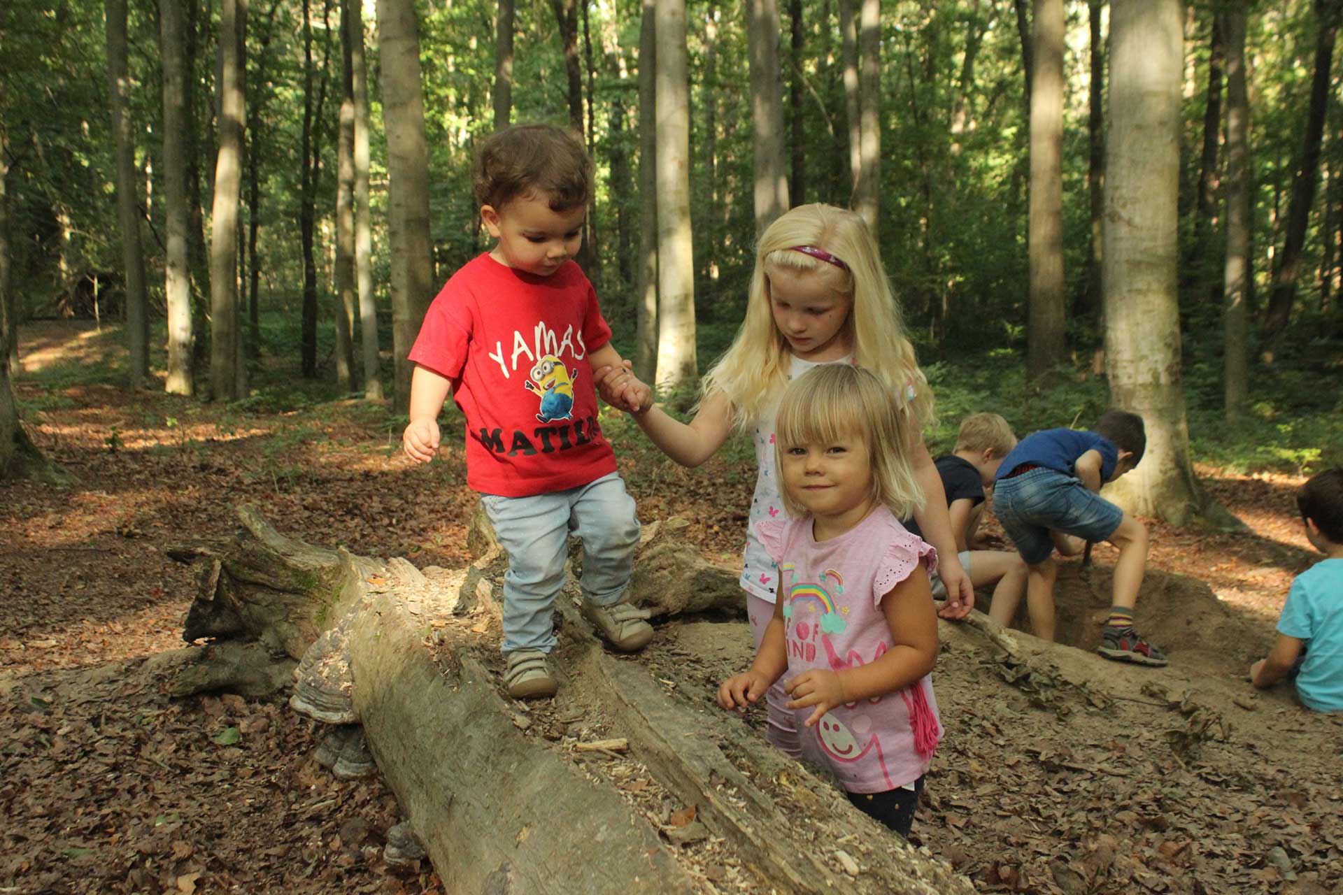 Waldausflug Eine Kindergruppe macht einen Ausflug in den Wald. Sie klettern über Baumstämme und graben im Waldboden.