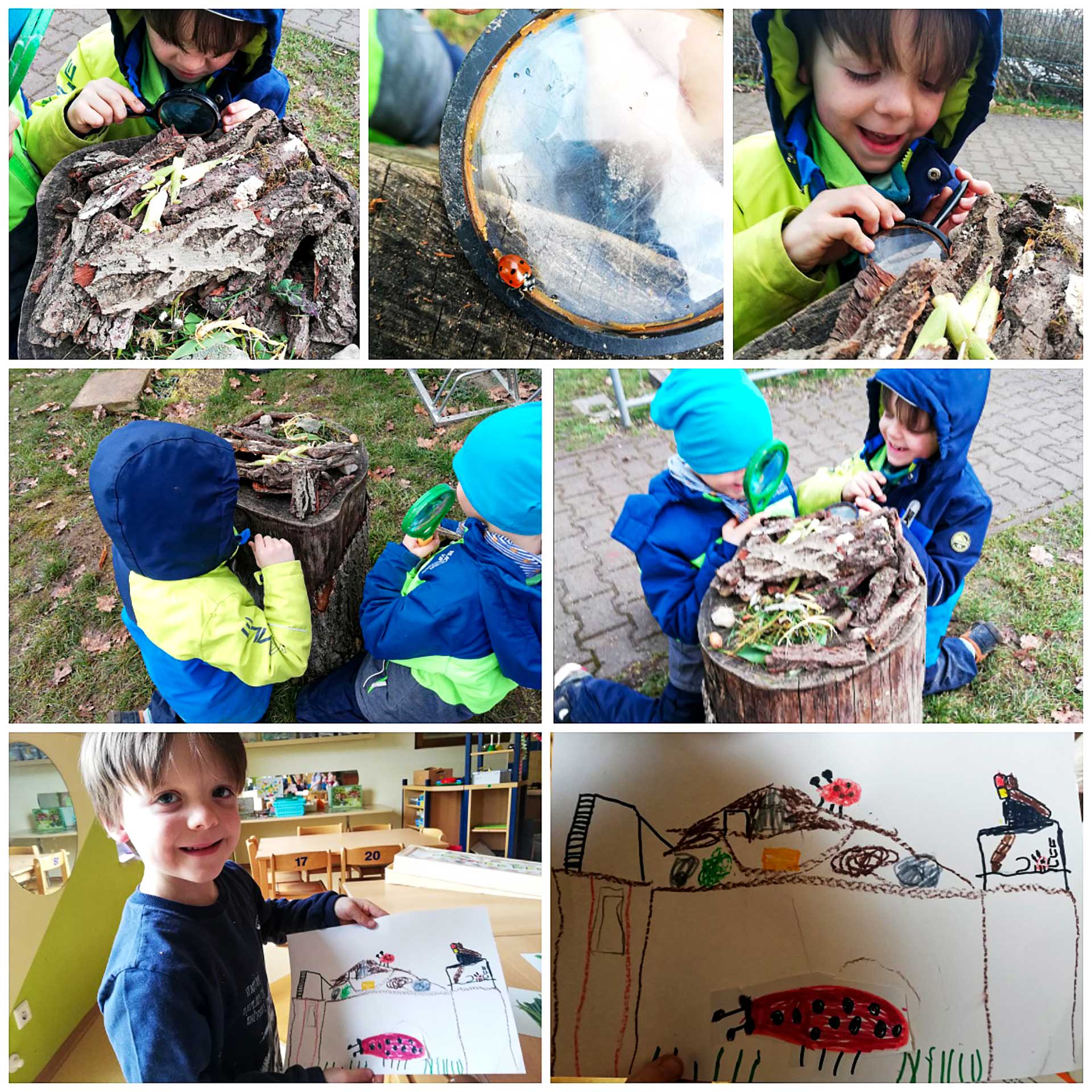 Projektarbeit Schnecke Sieben kleine Fotos sind bei der Projektarbeit entstanden. Ein Junge begutachtet die Schnecken, beobachtet sie mit einer Lupe, malt ein Bild einer Schnecke und begleitet diese auf ihrem Weg im Außengelände.